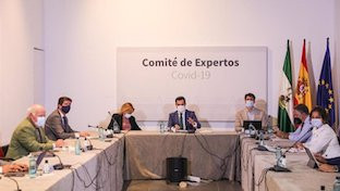 Comite expertos