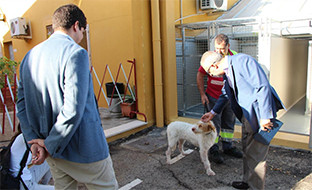 Centro municipal animales