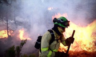 Incendio sierra bermeja