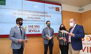 Sabores de la provincia de Sevilla villalobos