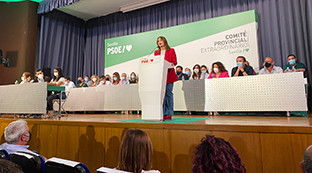 Comitu00e9 provincial psoe