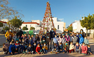 Arbol navidad palacios