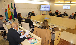 Pleno ayto rinconada 21
