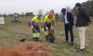 Plantacion arboles ayto