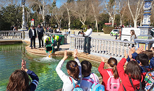 Peces  ru00eda plaza de espau00f1a