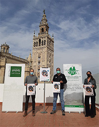 Marcha provincial mujeres