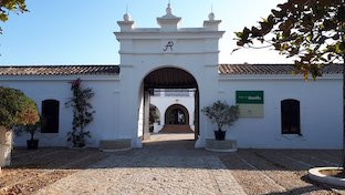 Cortijo alamillo