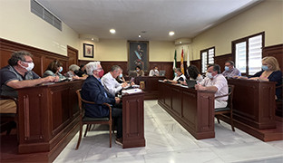 Pleno espartinas 22