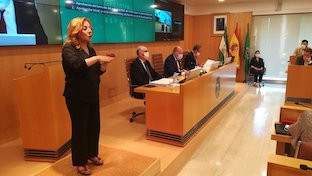 Pleno diputacion