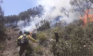 Incendio mijas