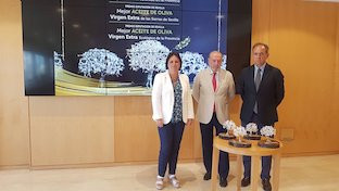 Premios aceite oliva dipu