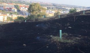 Incendio carambolo