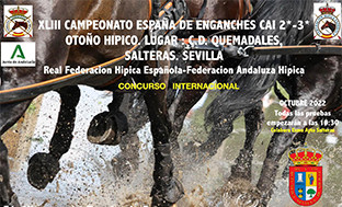 Salteras hipica