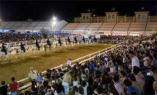 Cu00f3mo bailan los caballos andaluces gines