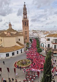 Marcha rosa carmona