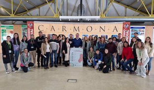 Carmona razones
