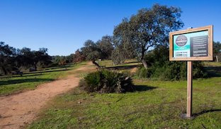 Parque guillena