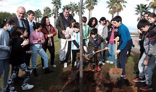 Plantacion Vega triana
