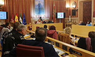 Observatorio violencia machista sevilla