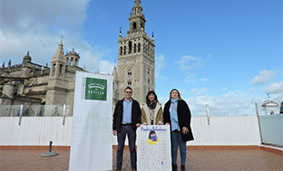 Piedrapalabra santiponce