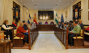 Pleno alcala de guadau00edra