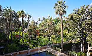 Real Alcazar Sevilla 23
