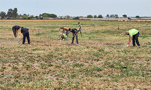 Escombrera el palmar palacios