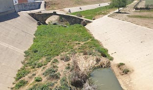 Arroyo lora