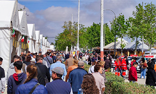 Feria Agroganadera y de la Tapa  palacios