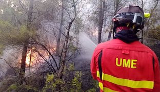 Ume incendios