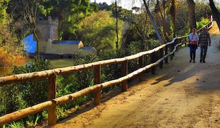 Parque alcala riego