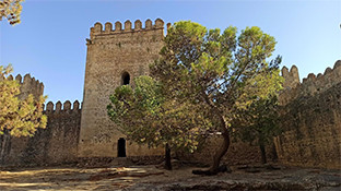 Castillo aguzaderas el coronil