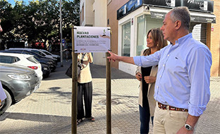 Plantacion arboles sevilla