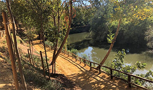 Espacios verdes alcalá