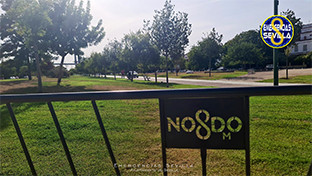 Venta avelino