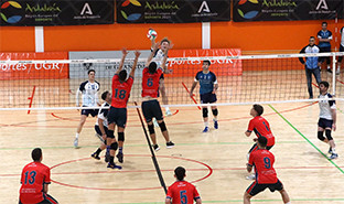 Voleibol