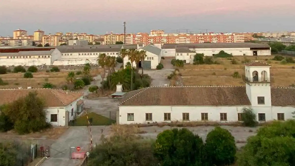 Algodonera