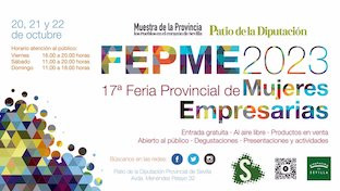 Mujeres empresarias diputacion fepme