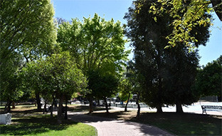 Tomares red ciudades verdes