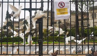 Parque maria luisa temporal