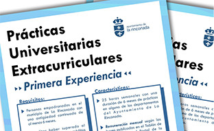 Becas pru00e1cticas la rinconada