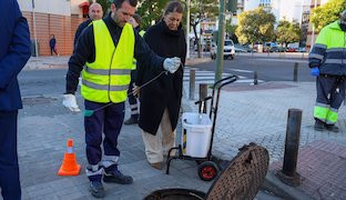 Desratizacion
