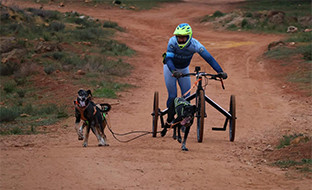 Mushing alcala