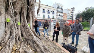 Nutrientes ficus sanjacinto