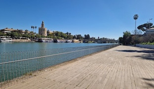 Calle betis