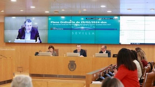 Pleno diputacion
