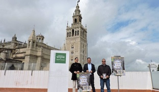 Jornadas castillo guardas