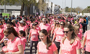 Carrera rosa palacios 20024