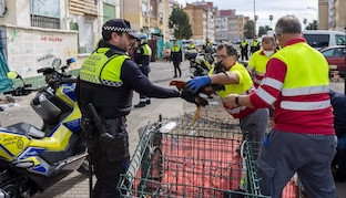 Gallos pelea poligono sur