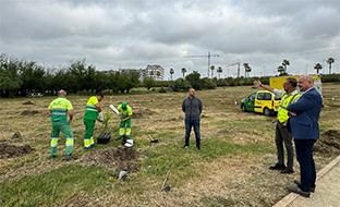 Plantacion dos hermanas